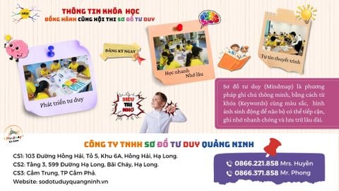 KHÓA HỌC ĐỒNG HÀNH HỘI THI SƠ ĐỒ TƯ DUY NĂM HỌC 2024 - 2025