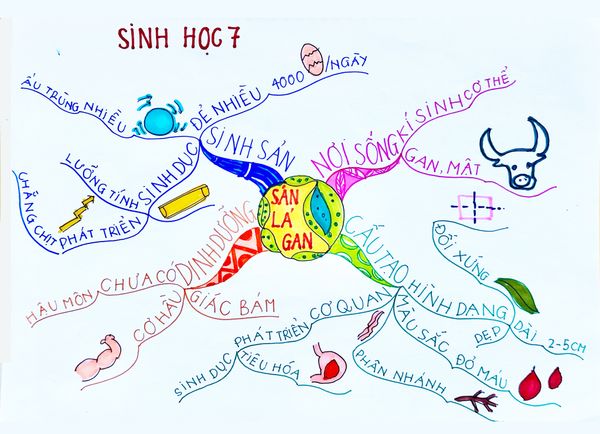 Sơ đồ tư duy Quảng Ninh - Đào tạo phương pháp học hiệu quả