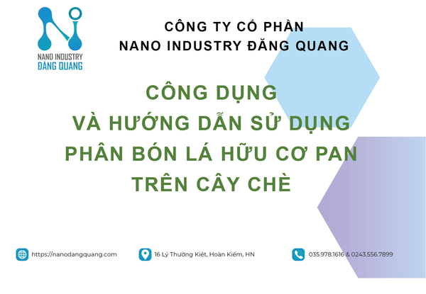 HƯỚNG DẪN SỬ DỤNG PHÂN BÓN LÁ HỮU CƠ PAN TRÊN CÂY CHÈ
