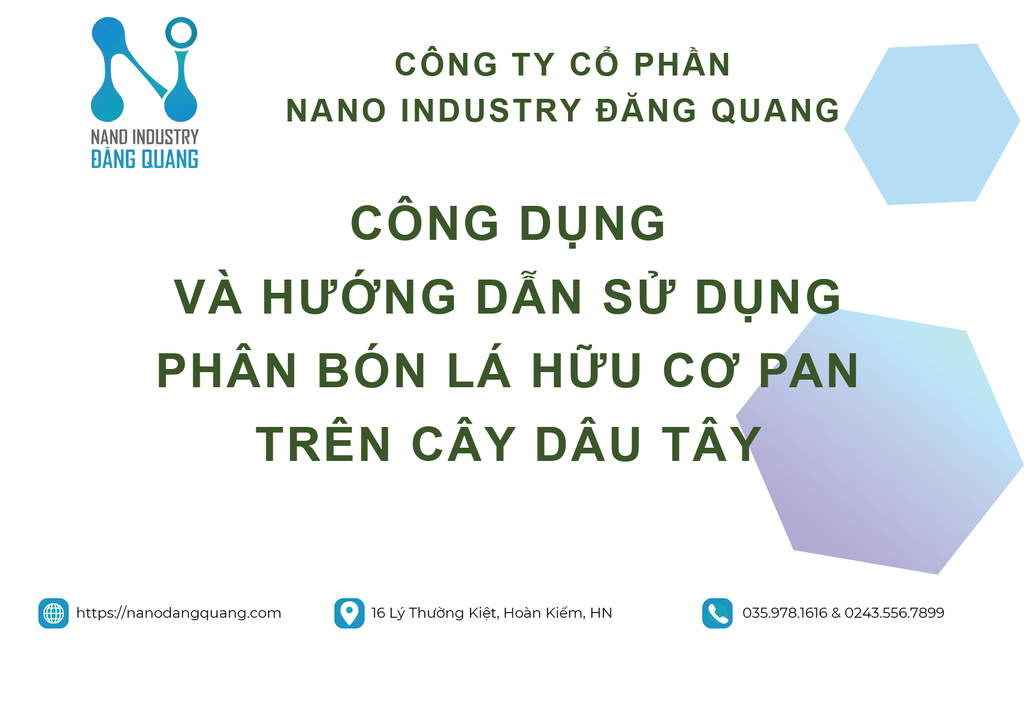 HƯỚNG DẪN SỬ DỤNG PHÂN BÓN LÁ HỮU CƠ PAN TRÊN CÂY DÂU TÂY