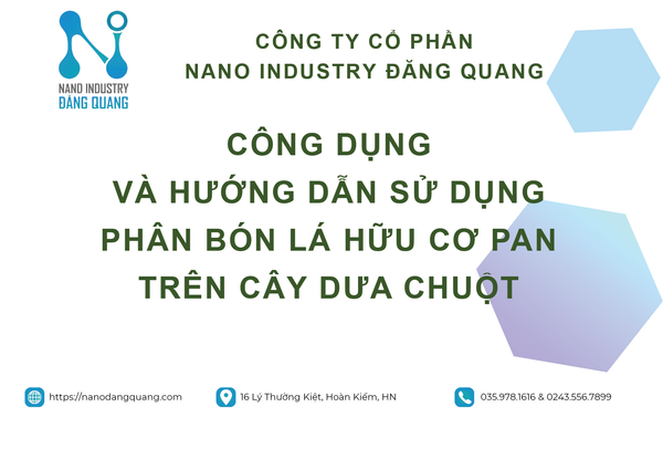 HƯỚNG DẪN SỬ DỤNG PHÂN BÓN LÁ HỮU CƠ PAN TRÊN CÂY DƯA CHUỘT