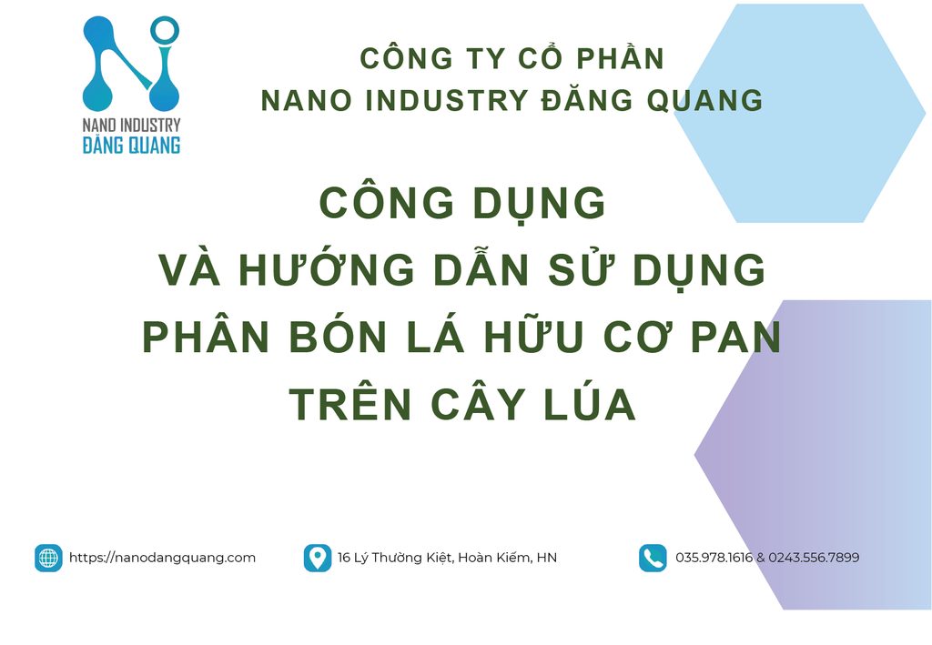 HƯỚNG DẪN SỬ DỤNG PHÂN BÓN LÁ HỮU CƠ  PAN TRÊN CÂY LÚA