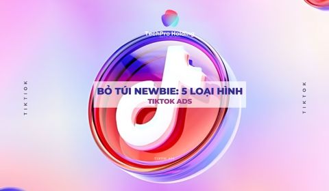 5 LOẠI HÌNH TIKTOK ADS HIỆU QUẢ VÀ PHỔ BIẾN NHẤT HIỆN NAY