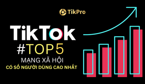 Số lượng người dùng TikTok tại Việt Nam: Nắm bắt tiềm năng khổng lồ cho doanh nghiệp của bạn