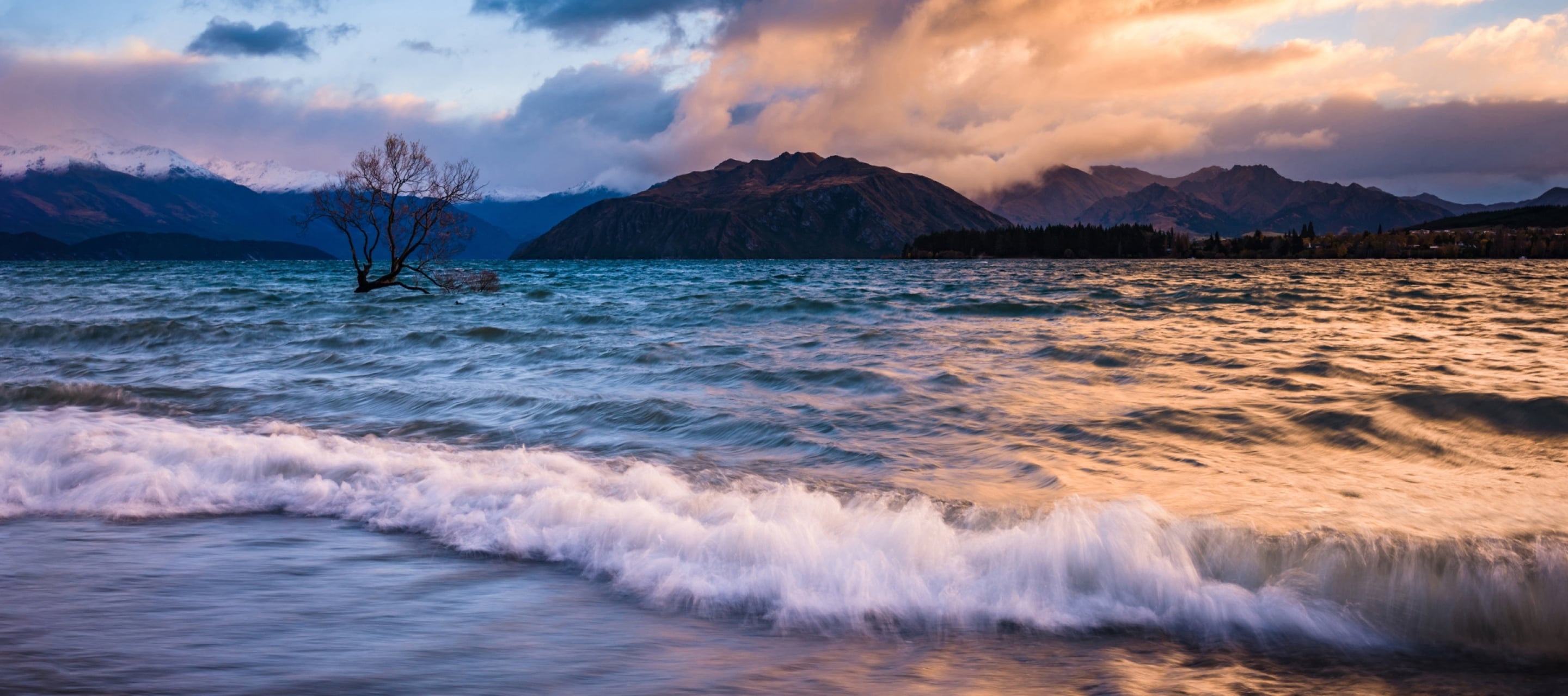 Các bài học, bài viết và video.