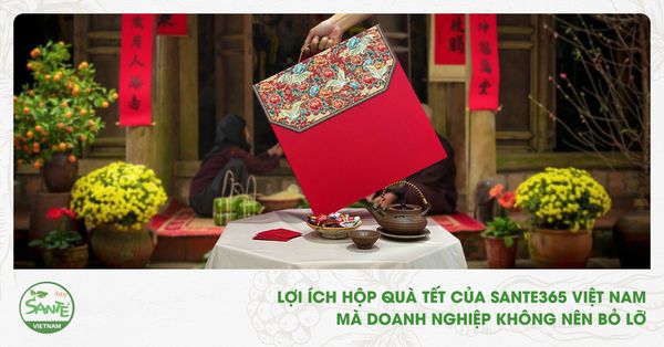 LỢI ÍCH HỘP QUÀ TẾT CỦA SANTE365 VIỆT NAM MÀ DOANH NGHIỆP KHÔNG NÊN BỎ LỠ