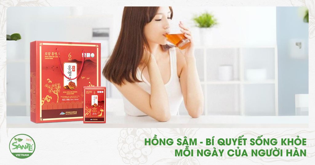 HỒNG SÂM - BÍ QUYẾT SỐNG KHỎE MỖI NGÀY CỦA NGƯỜI HÀN