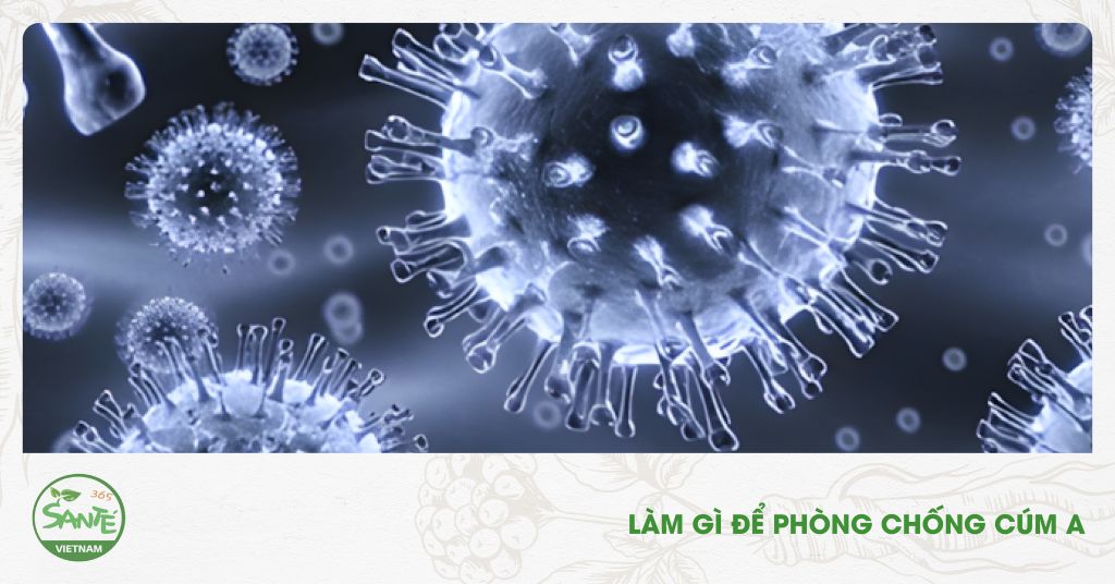 LÀM GÌ ĐỂ PHÒNG CHỐNG CÚM A?