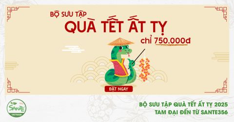 BỘ SƯU TẬP QUÀ TẾT ẤT TỴ 2025 - TAM ĐẠI
