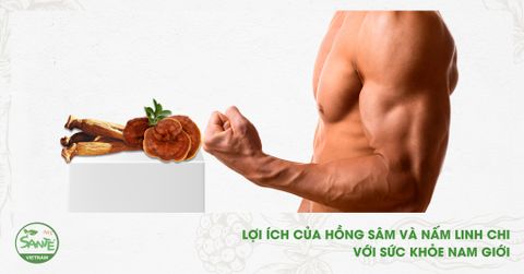 LỢI ÍCH CỦA HỒNG SÂM VÀ NẤM LINH CHI VỚI SỨC KHỎE NAM GIỚI