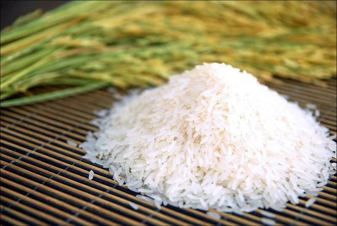 Sinh ra là người Việt, yêu thương hạt gạo dường như nằm trong bản năng của chúng ta