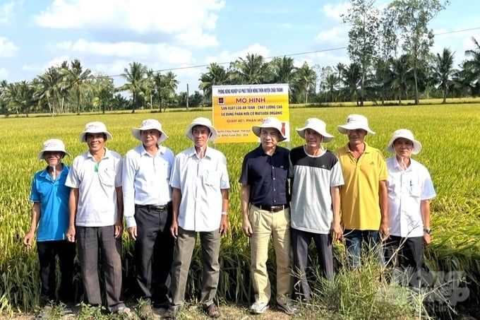 1.800ha lúa ở huyện Châu Thành được hỗ trợ phân bón hữu cơ mỗi năm