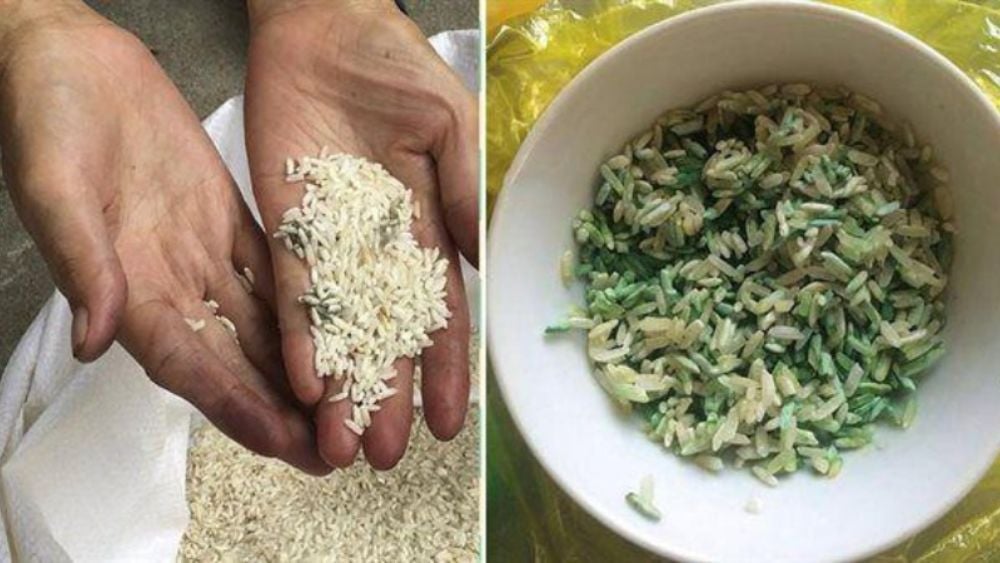 Gạo bị mốc? Nguyên nhân và các xử lý gạo bị mốc
