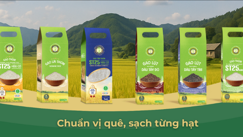 Các dòng gạo nổi bật đang có tại Gạo Ông Du