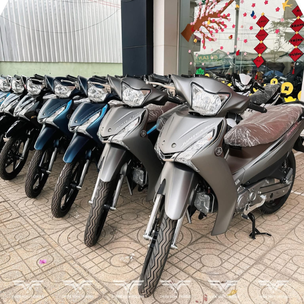 Những Mấu Xe Số Giá Rẻ, Thiết Kế Sang Trọng, Hút Khách Việt