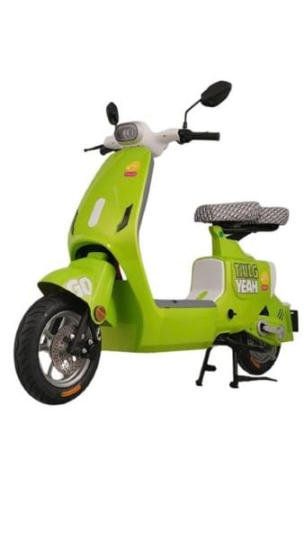 Xe Điện Tailg Gr55  Xe Điện Vĩnh Trường Tiền Giang