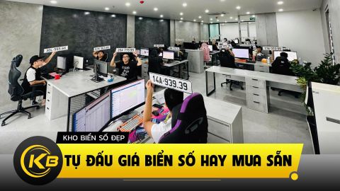 Tự đấu giá biển số hay mua biển đẹp có sẵn?