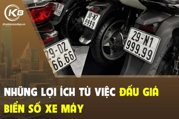 Những lợi ích từ việc đấu giá biển số xe máy