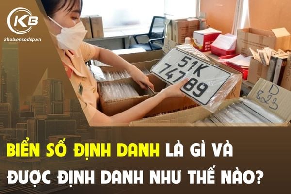 Đấu giá biển số đẹp