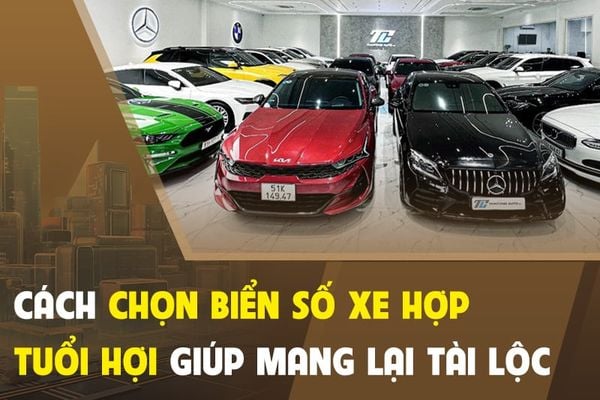 Màu Xe Hợp Tuổi Quý Hợi