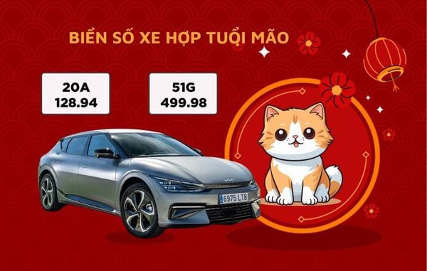 Câu Hỏi Thường Gặp Về Việc Chọn Biển Số Xe Hợp Tuổi Đinh Mão