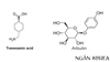 Kết hợp Tranexamic acid và Arbutin được không?