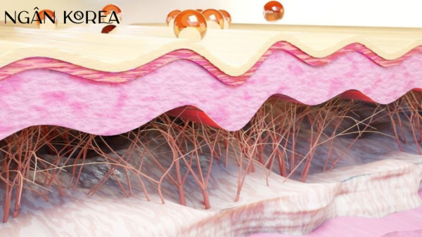 Elastin Collagen Nano 9000mg