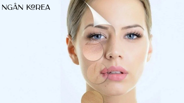 Quá trình lão hóa của con người