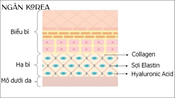 Elastin Collagen Nano 9000mg