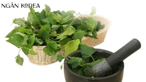 trị nám bằng rau diếp cá