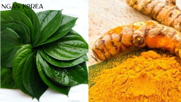 trị nám bằng lá trầu không