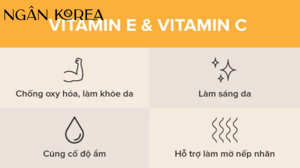 Vitamin C và Vitamin E