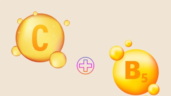 B5 và Vitamin C