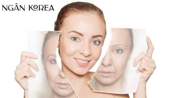 collagen chống lão hóa