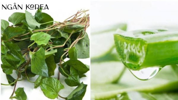trị nám bằng rau diếp cá