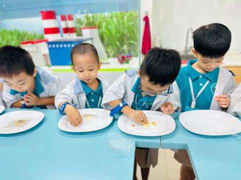KHU VUI CHƠI TÍCH HỢP GIÁO DỤC, RÈN KỸ NĂNG