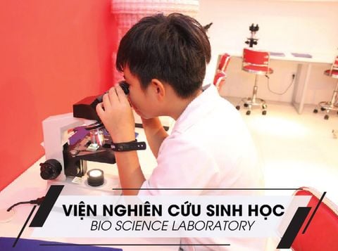 [MÔ HÌNH] VIỆN NGHIÊN CỨU SINH HỌC