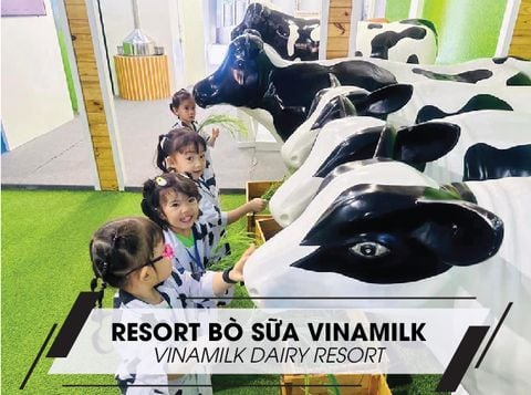 [MÔ HÌNH] RESORT BÒ SỮA