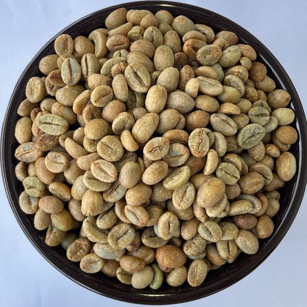 CÀ PHÊ NHÂN XANH ROBUSTA CHẾ BIẾN MẬT ONG – SỰ NGỌT NGÀO TỪ QUY TRÌNH TINH TẾ