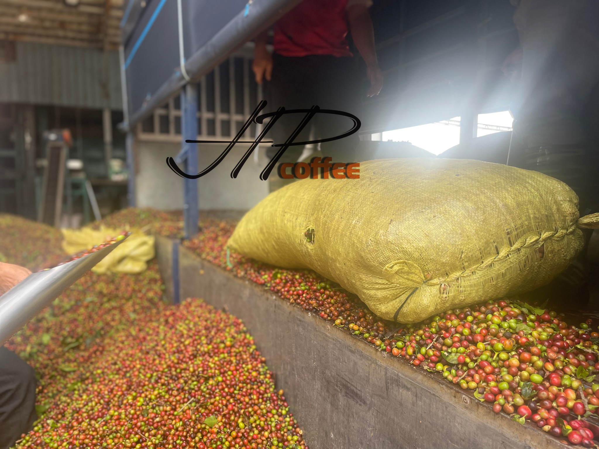 SERIES: CÀ PHÊ LÊN MEN VS LÊN MEN CÀ PHÊ