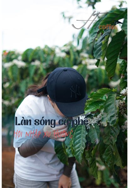 LÀN SÓNG CÀ PHÊ TRÊN THẾ GIỚI VÀ VIỆT NAM