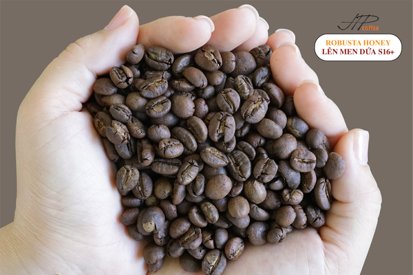 BODY CÀ PHÊ – THỨ CHẠM ĐẦU LƯỠI, ĐỌNG TRONG TIỀM THỨC