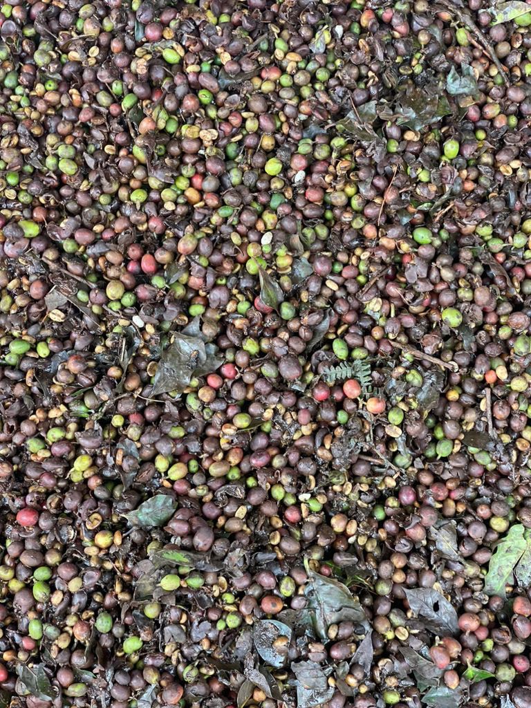 SERIES: CÀ PHÊ LÊN MEN VS LÊN MEN CÀ PHÊ