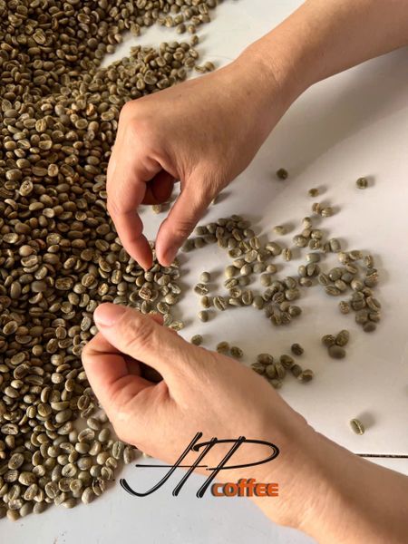 Tầm quan trọng của việc phân loại cà phê nhân sống – Bí quyết tạo nên những tách cà phê hoàn hảo! ☕️🌱