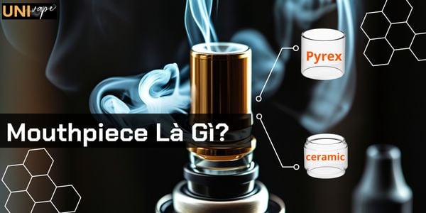 Mouthpiece Là Gì? Mouthpiece Có Quan Trọng Không?