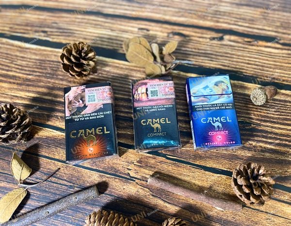 cac-dong-camel-moi-nhat-2024