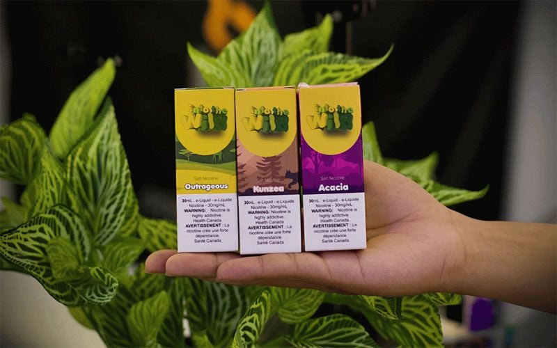 Sức Hút Của Into The Wild