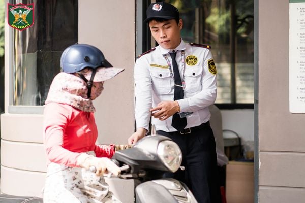 Hình ảnh bài viết