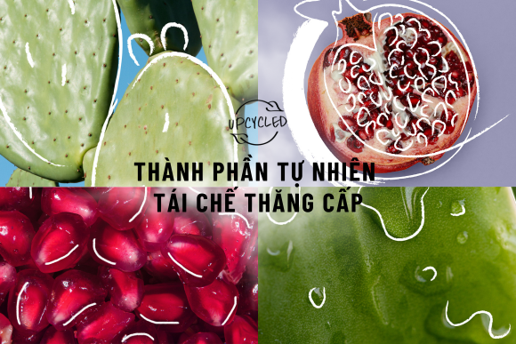 Công Nghệ Tái Chế Thăng Cấp