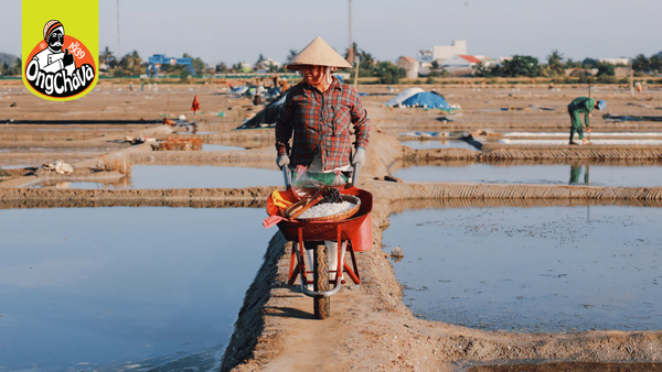 The Untold Truth About Can Gio Mangrove Salt